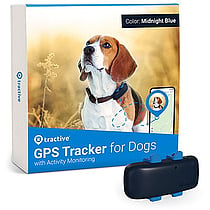 Tractive GPS Tracker Hund 4