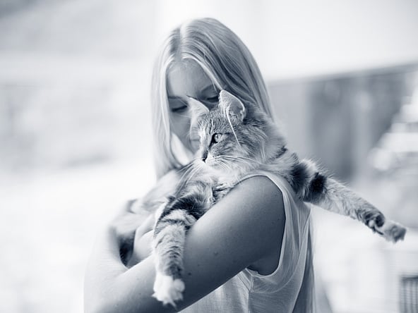 En person, der holder en kat.