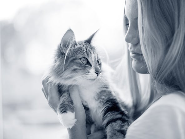 En person, der holder en kat.