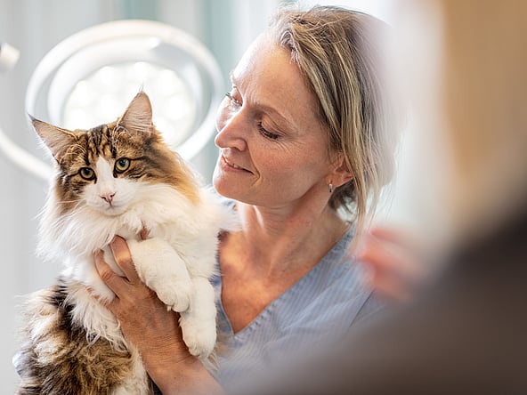 En person, der holder en kat.
