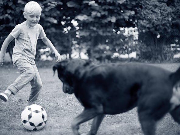 Et barn, der sparker til en fodbold med en hund.