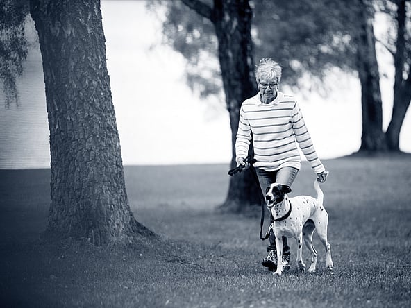 En person, der går tur med en hund.