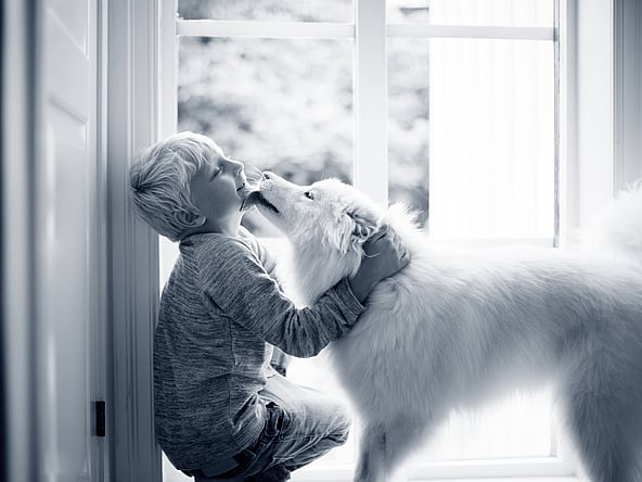 Et barn og en hund.