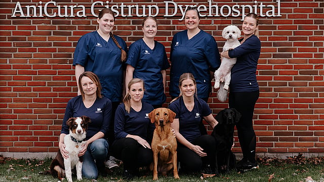 En gruppe kvinder, der poserer til et foto med hunde.