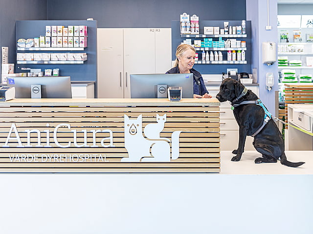 En person og en hund ved en skranke.