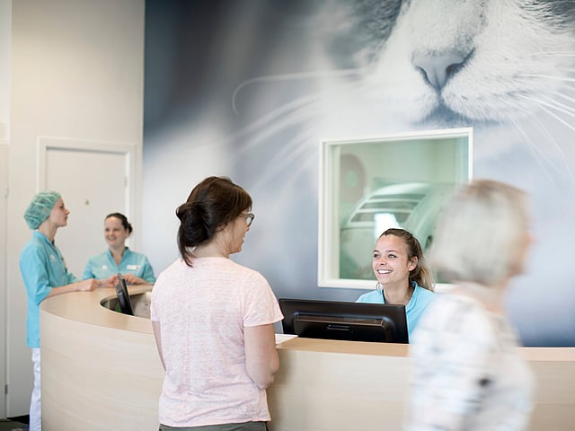 En gruppe mennesker i en reception.