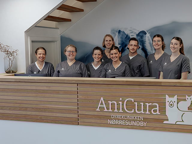 En gruppe mennesker, der står foran et skilt.