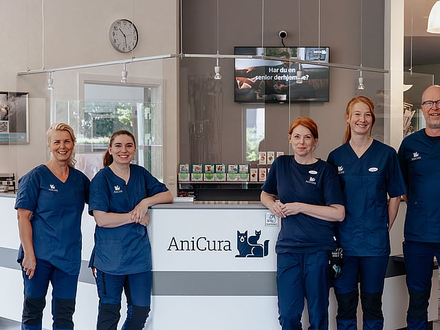 En gruppe mennesker, der står foran en reception.