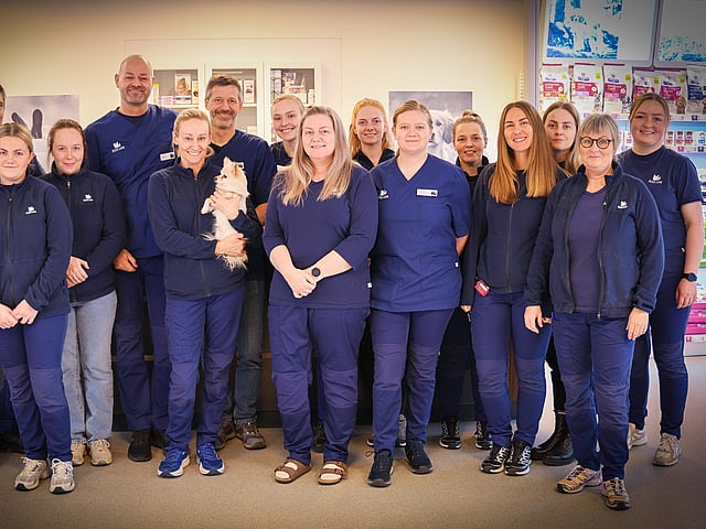 En gruppe mennesker, der poserer for et foto.