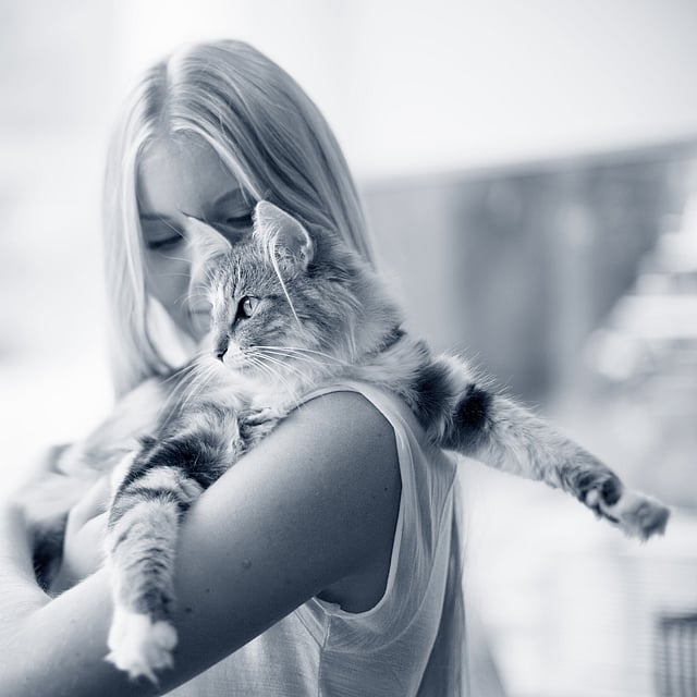 En person, der holder en kat.