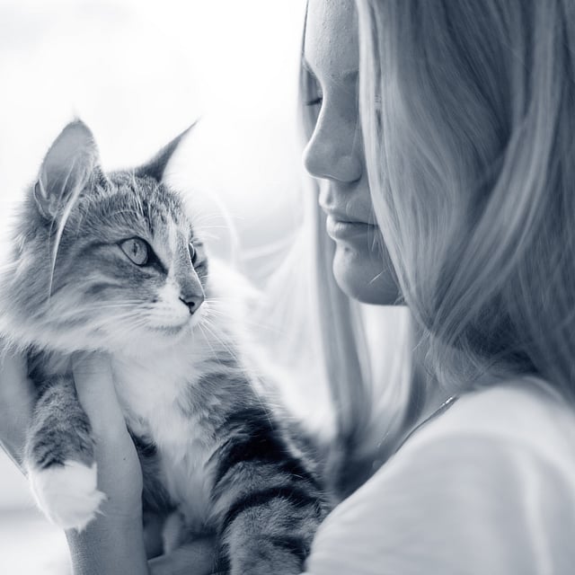 En person, der holder en kat.