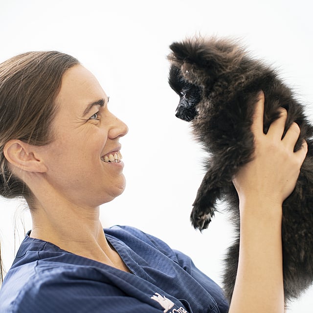 En person, der holder en lille hund.