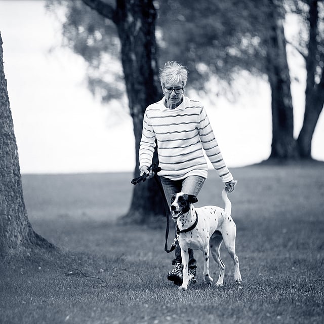 En person, der går tur med en hund.