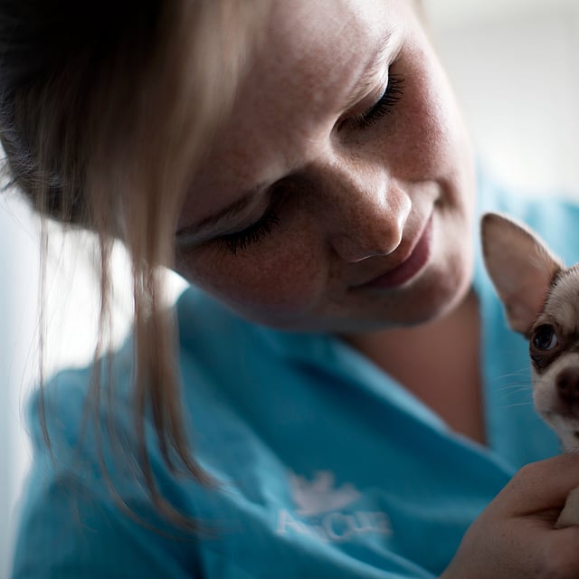 En person, der holder en lille hund.