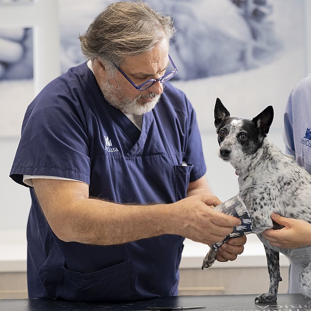 En person og person, der holder en hund.