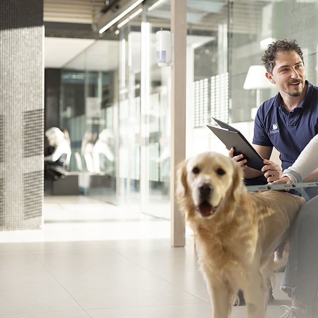 En person og en person, der sidder på en bænk med en hund.