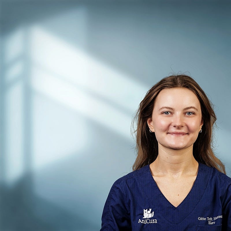 Foto af Gitte Hansen, Veterinærsygeplejersker