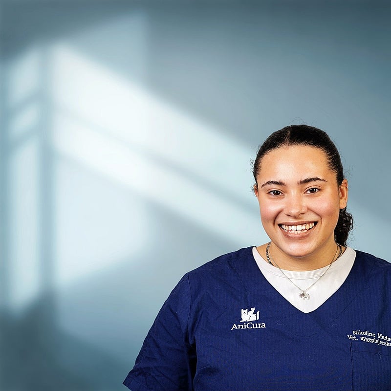Foto af Nikoline Madsen, Veterinærsygeplejersker