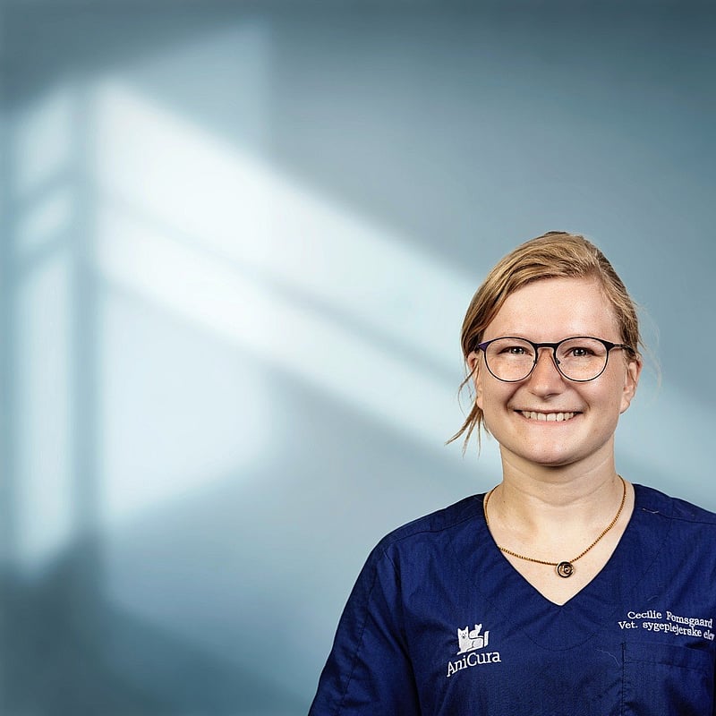 Foto af Cecilie Fomsgaard, Veterinærsygeplejersker