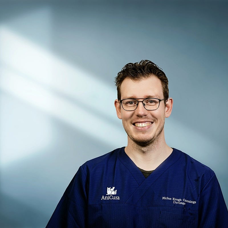 Foto af Niclas Cannings, Dyrlæger