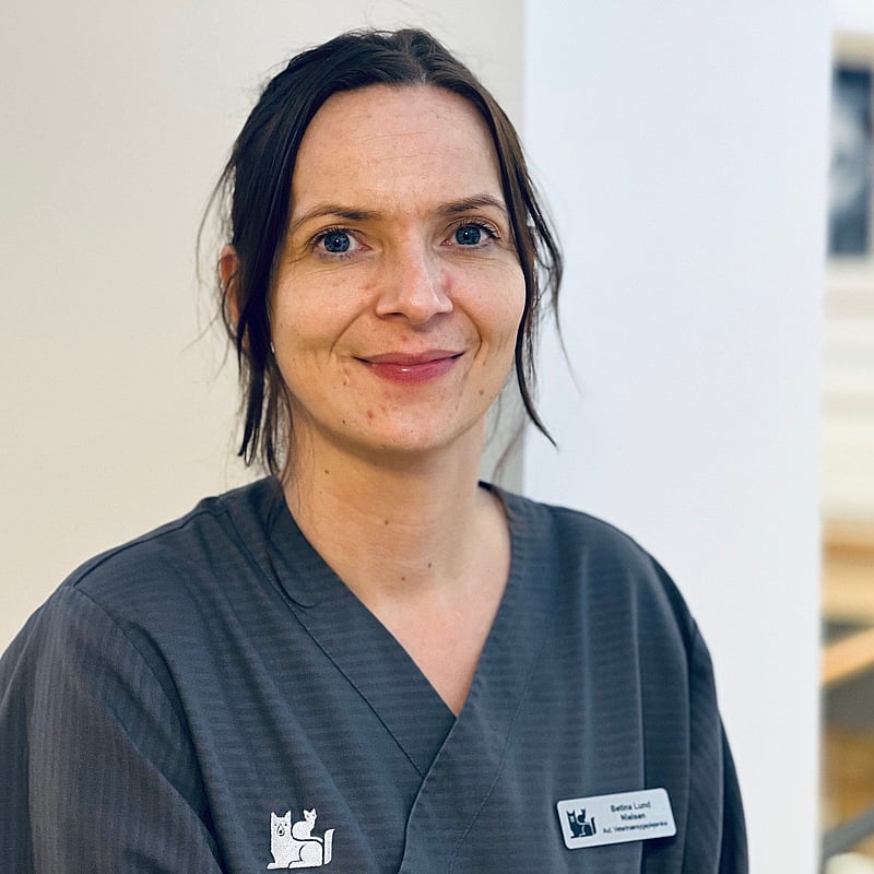 Foto af Bettina, Veterinærsygeplejersker