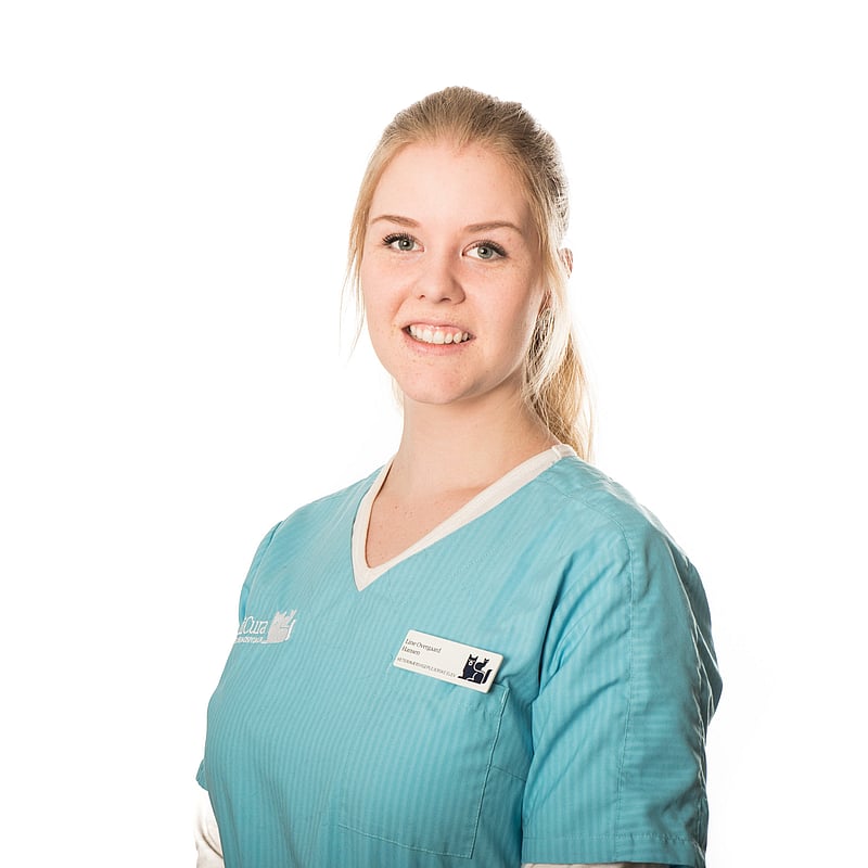 Foto af Line Overgaard Hansen, Veterinærsygeplejersker