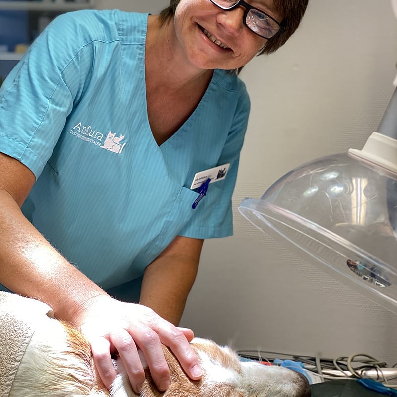 Foto af Ulla Eskildsen, Veterinærsygeplejersker