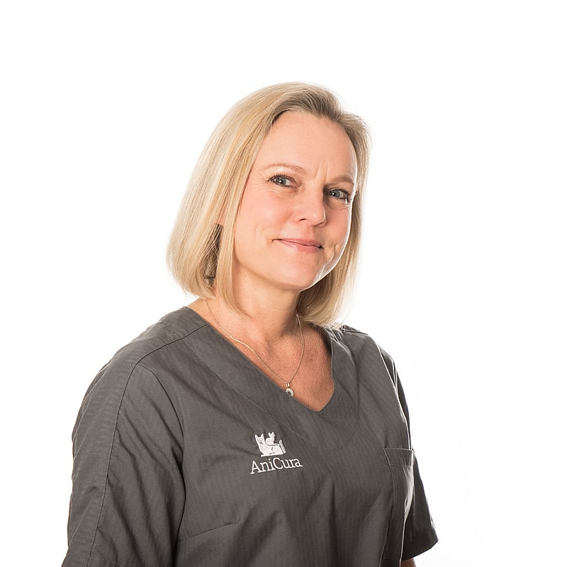 Foto af Gitte Uhd Sørensen, Dyrlæger