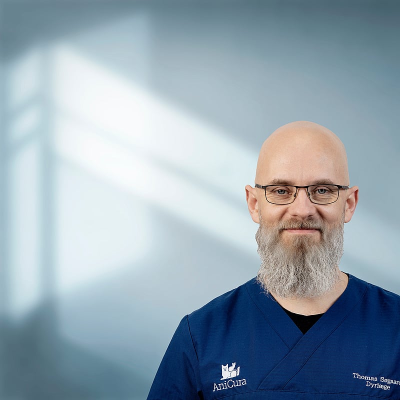 Foto af Thomas Søgaard, Dyrlæger