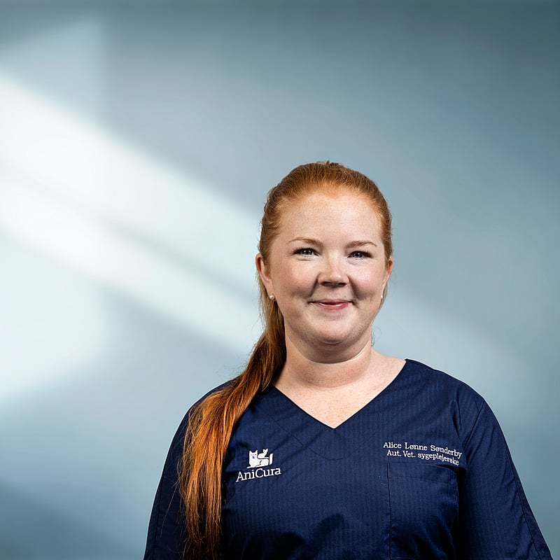 Foto af Alice Lønne Sønderby, Veterinærsygeplejersker