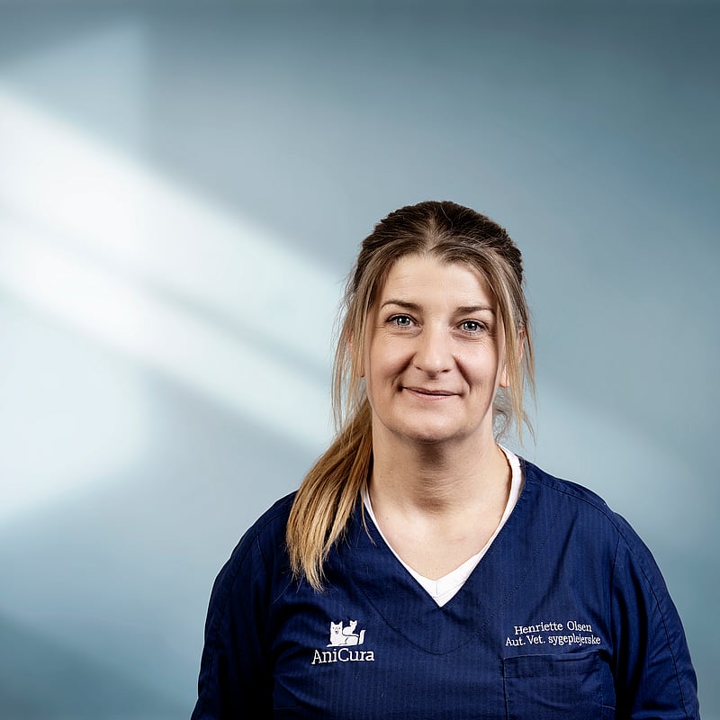 Foto af Henriette Olsen, Veterinærsygeplejersker