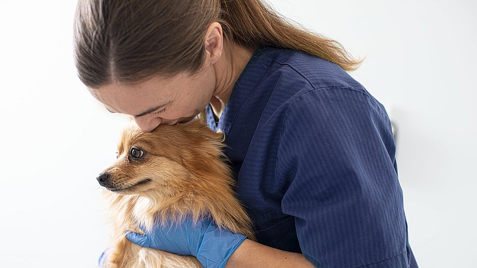 En person i blå scrubs, der kysser en hund.