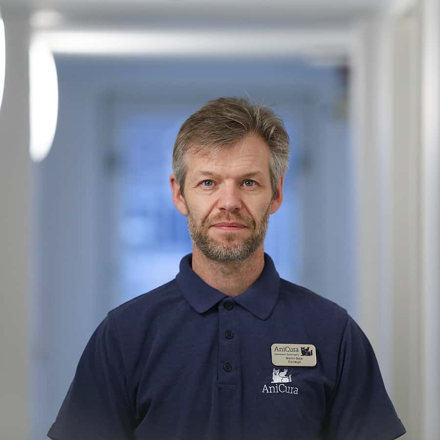 Martin