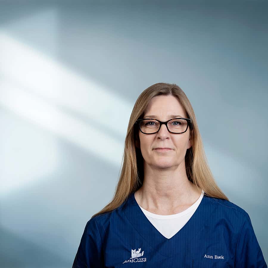Ann Bæk