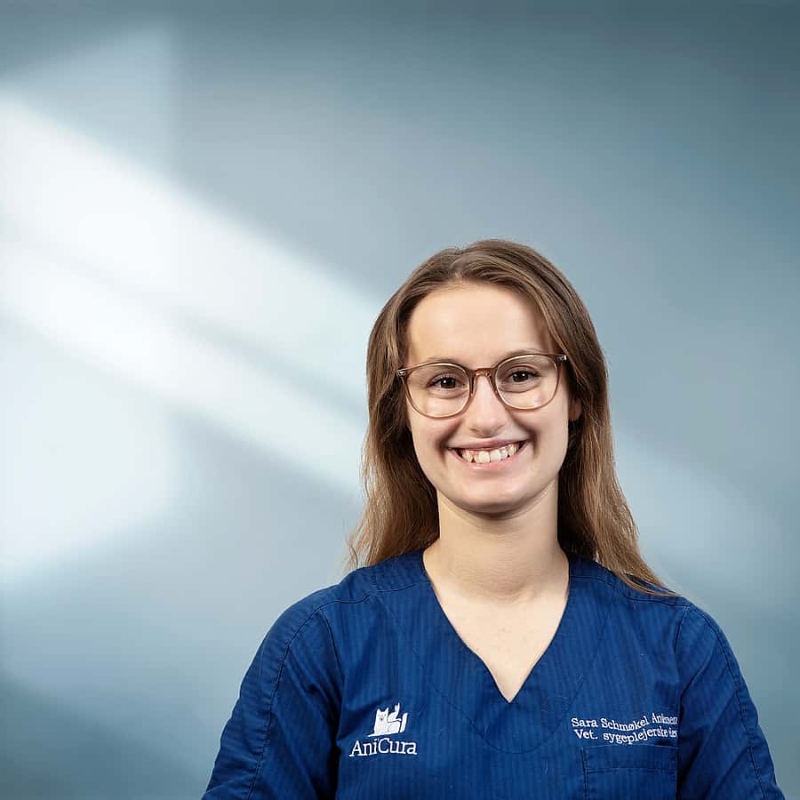 Sara Andersen