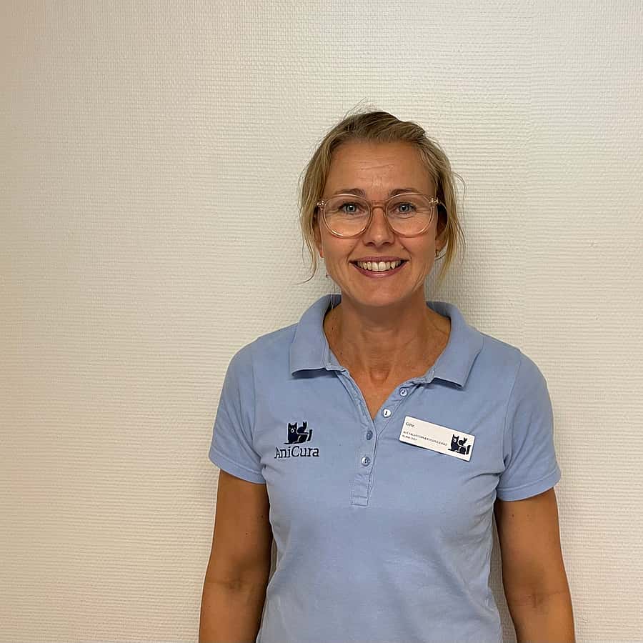 Gitte O