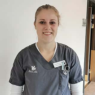 Elisa