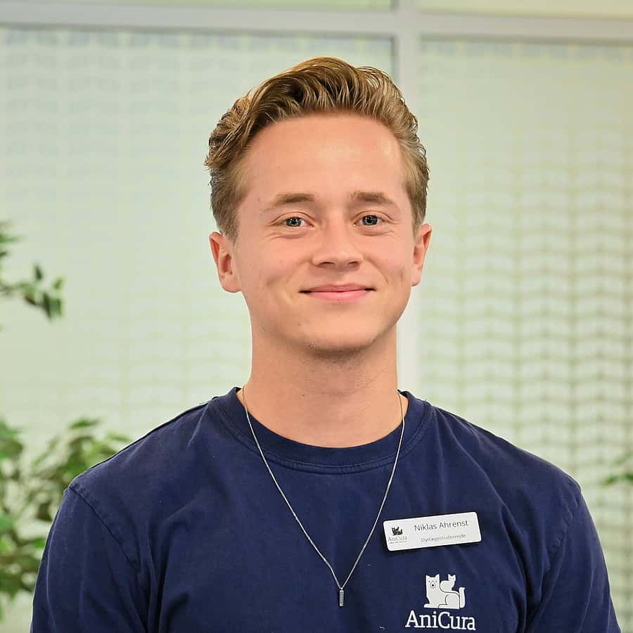 Niklas