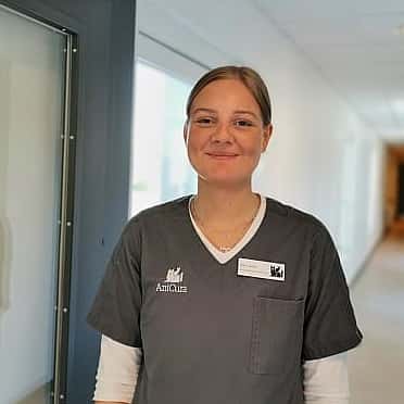 Maja