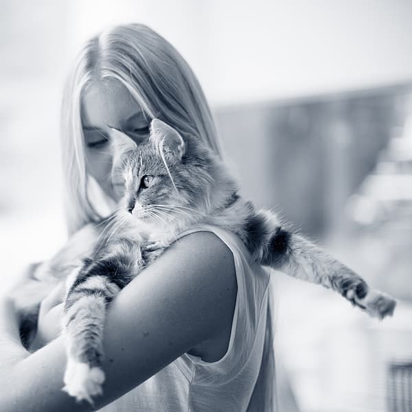 En person, der holder en kat.