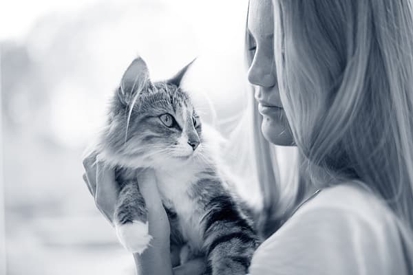 En person, der holder en kat.