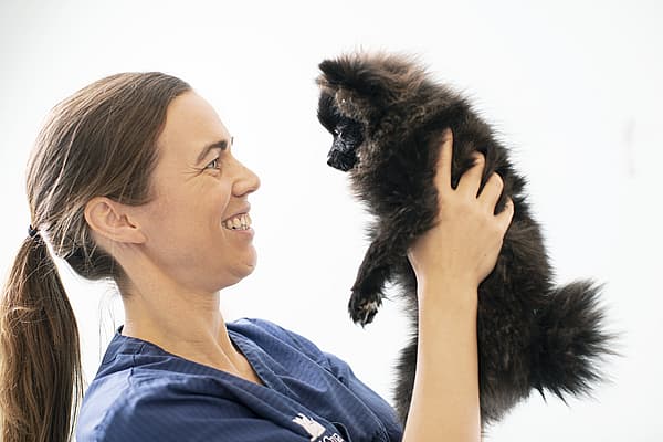 En person, der holder en lille hund.