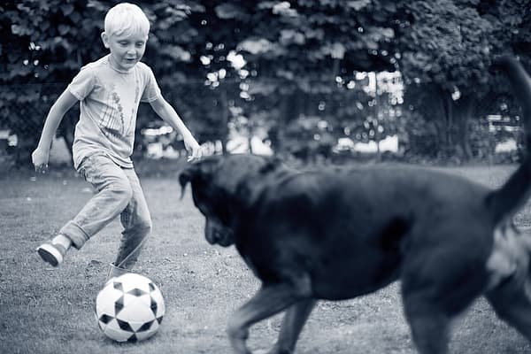 Et barn, der sparker til en fodbold med en hund.
