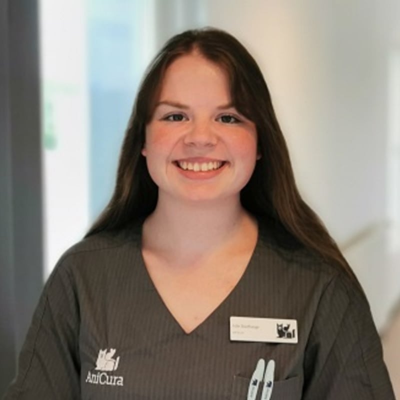 Foto af Julie, 3. Års Veterinærsygeplejerskeelev