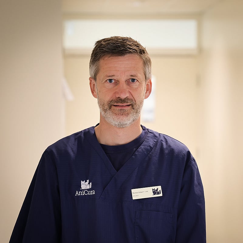 Foto af Morten, Dyrlæge