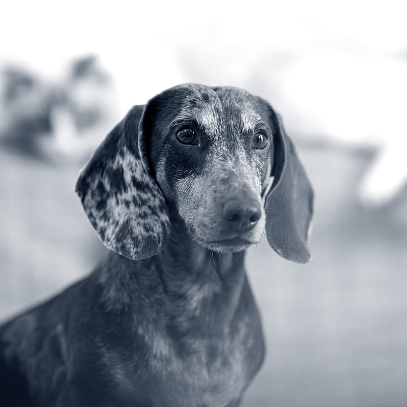 Foto af Line, Klinikassistent