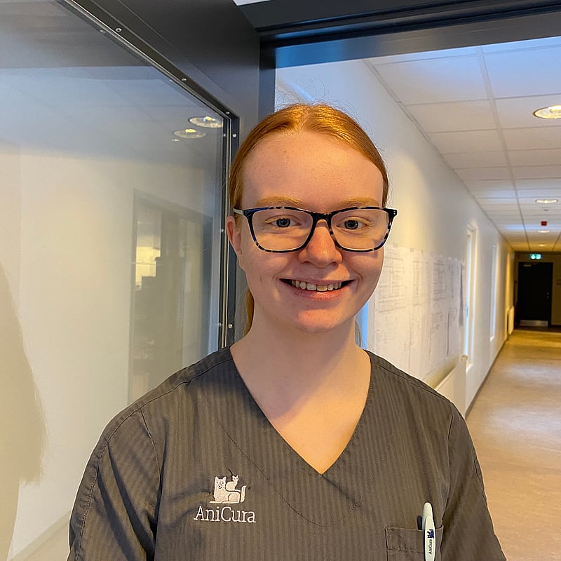 Foto af Anette, 2. Års Veterinærsygeplejerskeelev