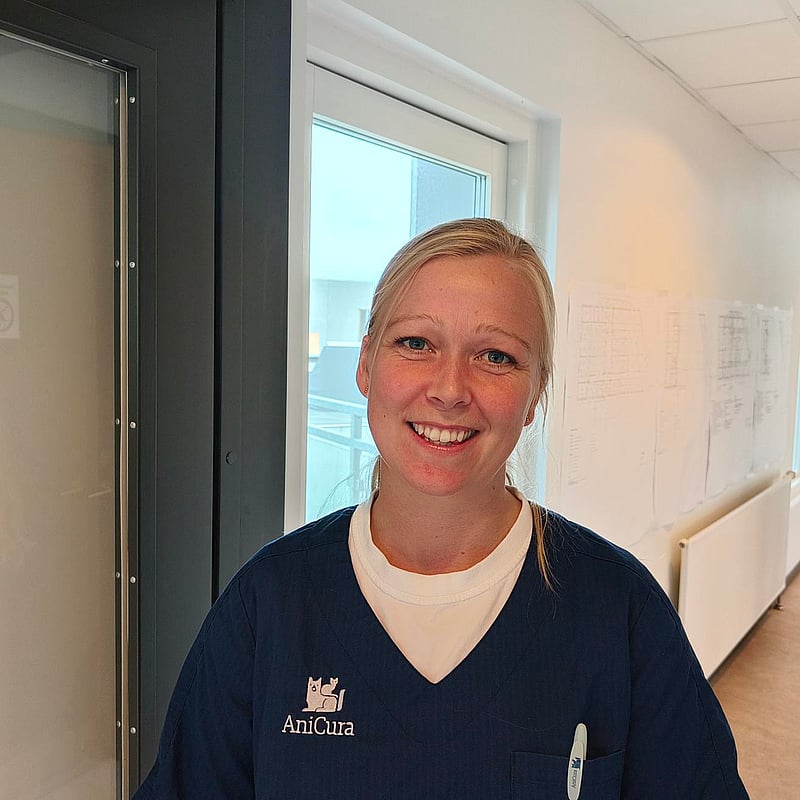 Foto af Stinna Nybroe, Specialdyrlæge Intern Medicin, Europæisk Specialist I Intern Medicin Hos Hund Og Kat (diplomat)