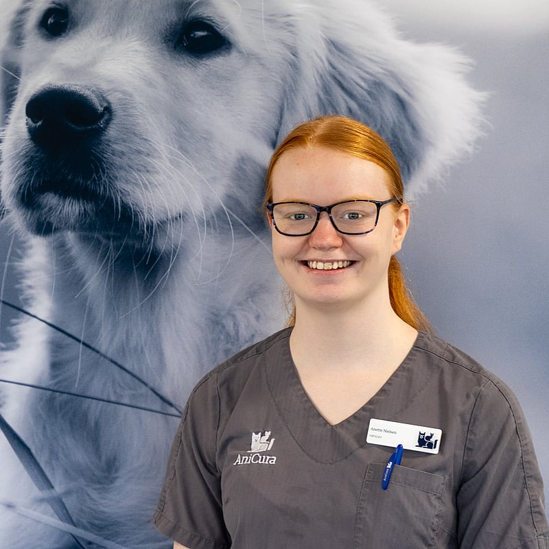 Foto af Anette, 3. Års Veterinærsygeplejerskeelev