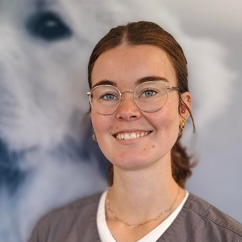 Foto af Kristine, Autoriseret Veterinærsygeplejerske